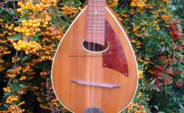 mandolina piguard czerwony (3)