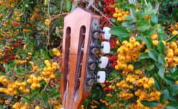 mandolina piguard czerwony (4)