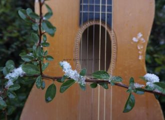 Gitara -owalny otwór rezonansowy