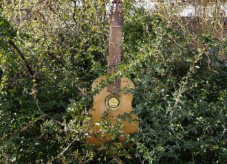 Zolaica Gitarre 10 strun