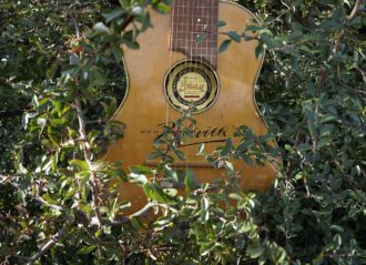 Zolaica Gitarre 10 strun