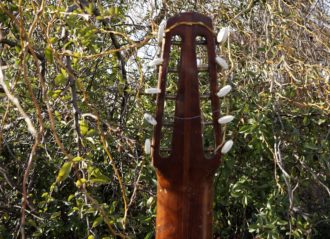 Zolaica Gitarre 10 strun